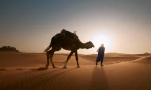 Morocco 2026: The Ultimate & Unforgettable Travel Adventure You Don’t Want to Miss